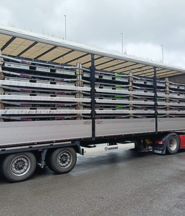 WhatsApp Image 2026-02-13 at 08.51.22